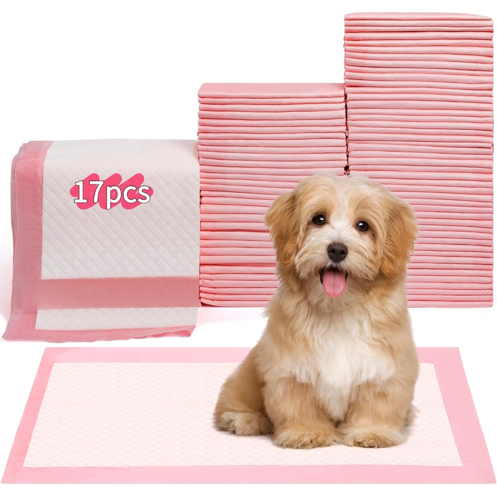 100/50/30/20/10 Adet Evcil Hay - Pet Supplies Wholesale incelemesi ve fiyatı