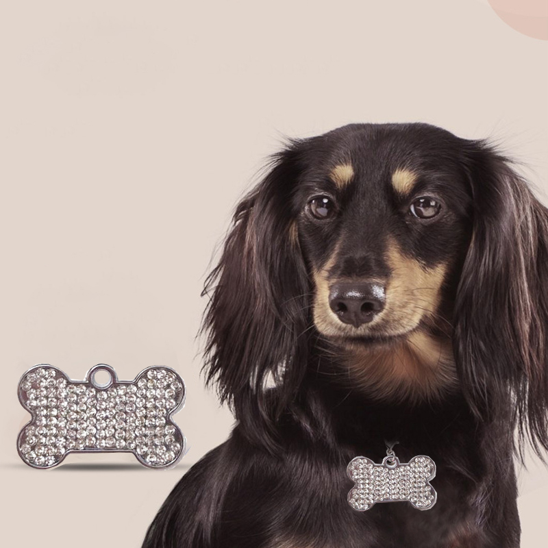 Yeni kemik köpek künyeleri laz - Pet Supplies Wholesale incelemesi ve fiyatı