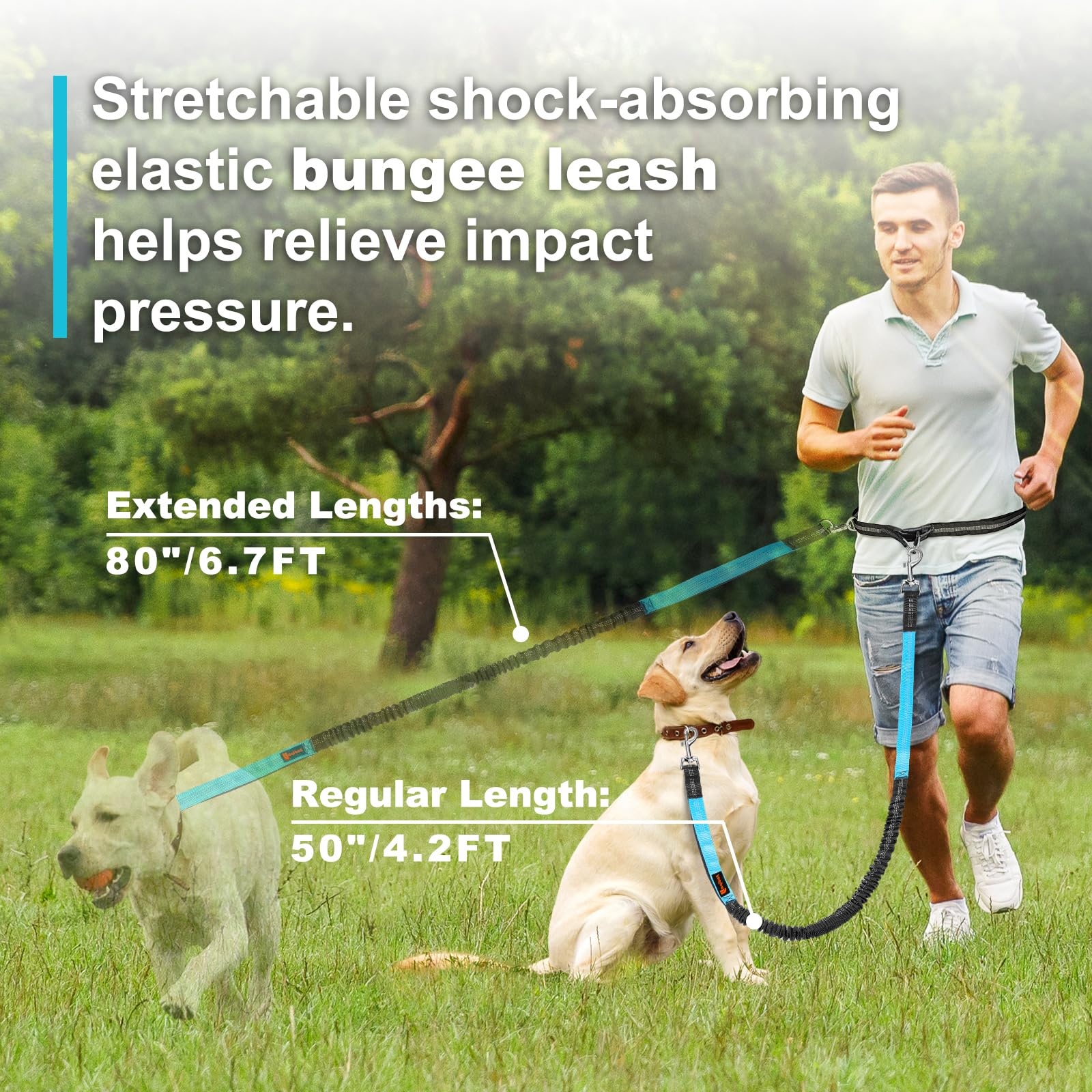 Çift elastik yansıtıcı koşu ta - Pet Supplies Wholesale incelemesi ve fiyatı