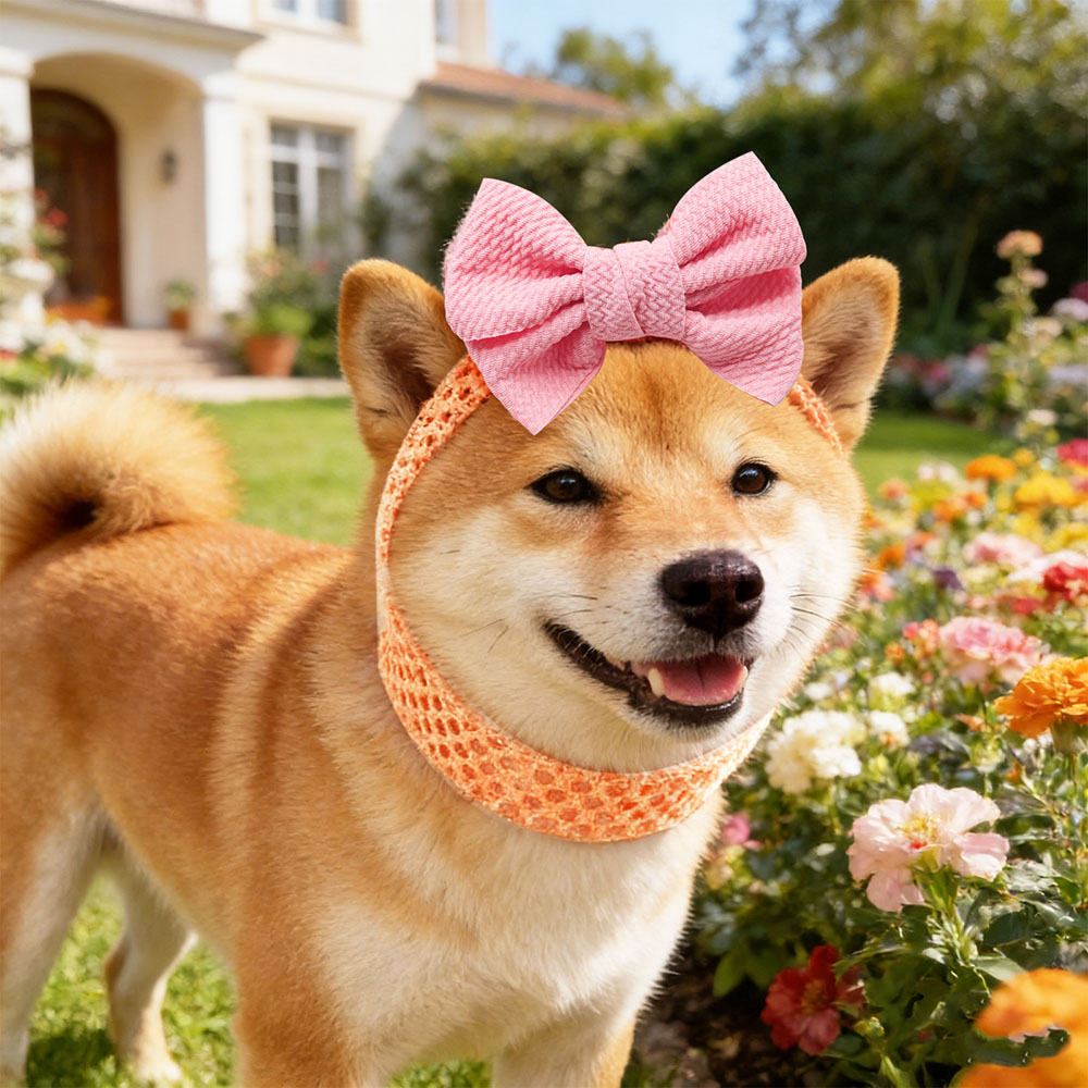 50 adet köpek yayları elastik  - Pet Supplies Wholesale incelemesi ve fiyatı
