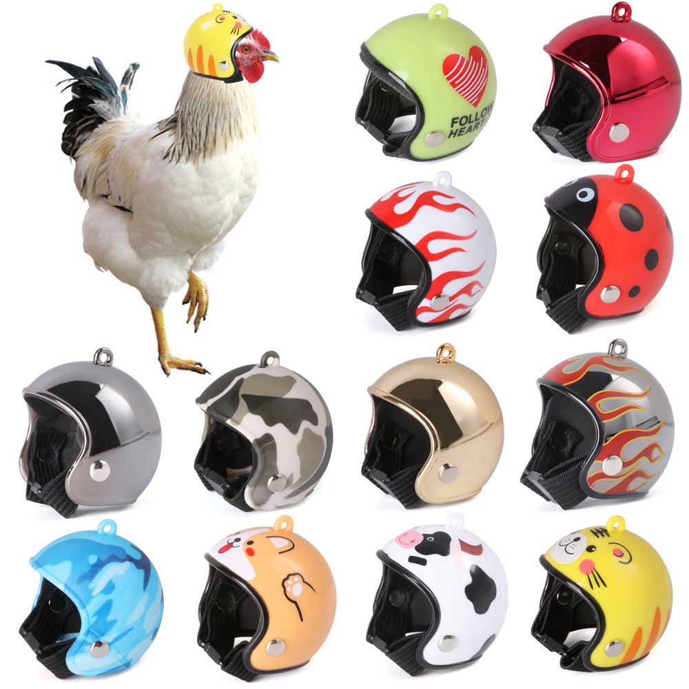 ABS Evcil Hayvan Malzemeleri K - Pet X Supplies & Tack Grooming incelemesi ve fiyatı